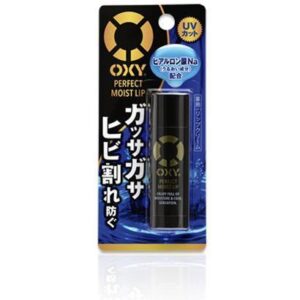 Rohto Oxy Perfect Moist Lip Cream 4.5g – Lip Care