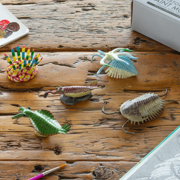 Cambrian Creatures Mini Model Set - Burgess Series (10 Figures) - Image 6