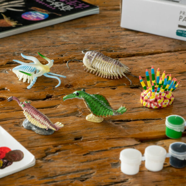 Cambrian Creatures Mini Model Set - Burgess Series (10 Figures) - Image 5