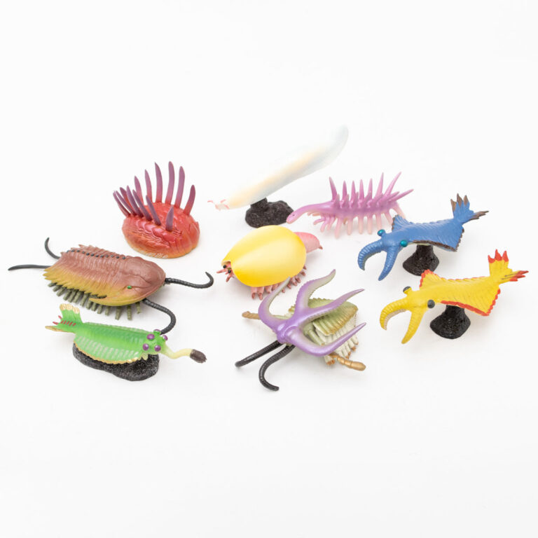 Cambrian Creatures Mini Model Set - Burgess Series (10 Figures) - Image 4