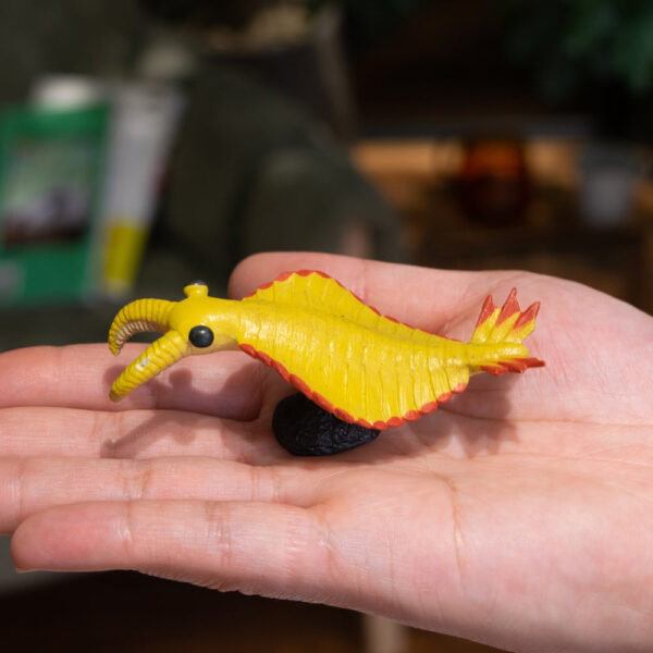 Cambrian Creatures Mini Model Set - Burgess Series (10 Figures) - Image 7