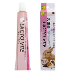 SANKO Lacto Vite Lactobacilla Paste Supplement for Small Pet 50g×5set from japan