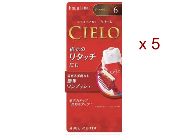 Hoyu CIELO Hair Color EX Cream #6 Dark Brown 5 Packets Easy-to-Use Japanese Import