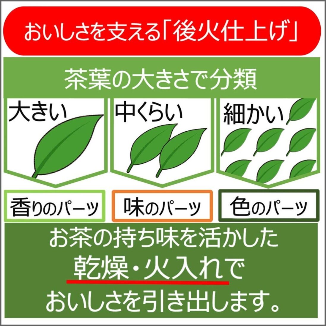 ITOEN Oi Ocha Yame Tea 100g (Fukuoka Green Tea) - Image 2