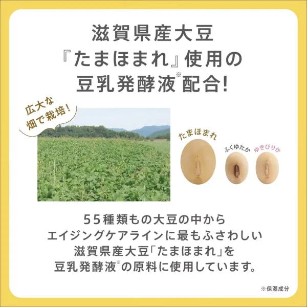 SANA
  NAMERAKA HONPO Soymilk Isoflavone Wrinkle Gel Cream Refill 100g - Image 4