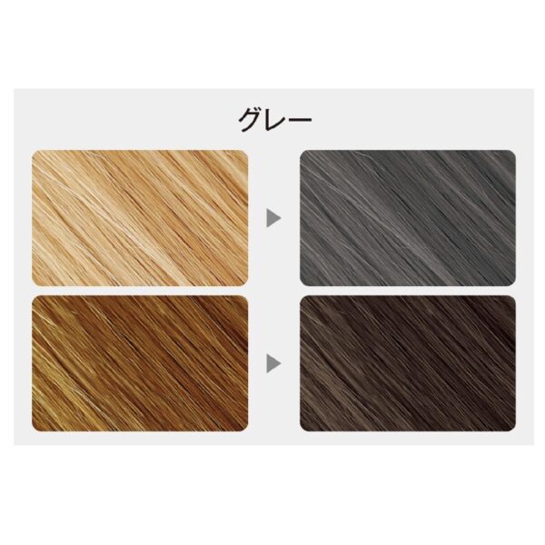 Anna-Donna-Every-Color-Foam-Shampoo-LtGrayGt-Anna-Donna-4546672303682-3-1